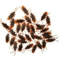 thumbnail image 4 of 100Pcs Fake Roaches Toys Lifelike Roaches Creative Simulation Party Favors Funny, 4 of 7