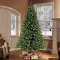 thumbnail image 2 of CC Christmas Decor Pre-lit Medium Northern Fir Artificial Christmas Tree - 9’ - Clear Lights, 2 of 3