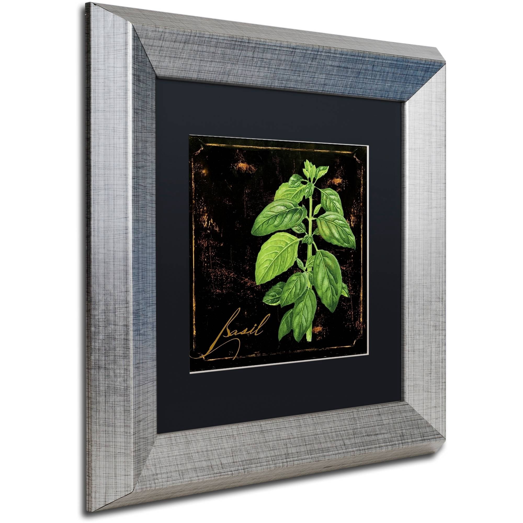 Trademark Fine Art "Black Gold Herbs IV" Canvas Art by Color Bakery Black Matte, Silver Frame