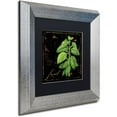 thumbnail image 2 of Trademark Fine Art "Black Gold Herbs IV" Canvas Art by Color Bakery Black Matte, Silver Frame, 2 of 4