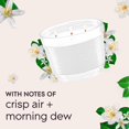 thumbnail image 2 of Glade® Triple Wick Candle - Dewdrop Petals, 2 of 8