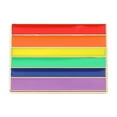 thumbnail image 6 of LGBTQ+ FLAG PIN BADGE Pride Asexual Transgender NonBinary Pansexual 2024 New K9B3, 6 of 6