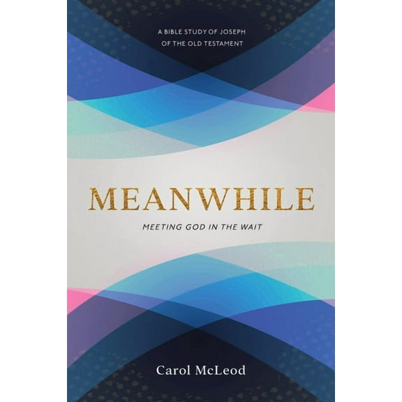 Meanwhile: Meeting God in the Wait, (Paperback)