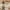 Multi, variant on Momeni  Rustic Romance Polyester Contemporary Abstract Area Rug Multi 3'3" x 5'1" Contains Latex Polyester 3' x 5' Indoor Brown, Beige, Green Runner,