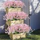 thumbnail image 5 of Falso artificial, 6 piezas de flores de plástico amarillo verde arbustos de plantas de plástico para interiores al aire libre plástico colgante plantador decoración del hogar (rosa) Feliz Sencillez, 5 of 5