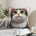 thumbnail image 6 of Susaid Cute Cartoon Kitten Print Velvet Throw Pillow Covers Home Art Deco Pillowcase Square Pillow Case Cushion Cover for Bed Sofa Living Room Car Indoor and Outdoor-20"x20", 6 of 8