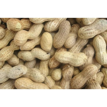 Backyard Seeds Peanuts in-Shell for Squirrels, Deer and Blue Jays
