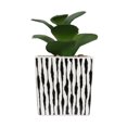 thumbnail image 3 of Kibo Mini Faux Succulent Stripe Pot, 3 of 5