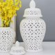 thumbnail image 5 of Tarro de Jengibre Perforado de China con Tapa, Decoración de Cocina, Decoración de Mesa, Pieza Decorativa Esmaltada para El Hogar, Arreglo F Talla L Baoblaze tarro de jengibre, 5 of 8