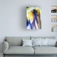 thumbnail image 3 of Ryan Hartson Weddle 'Subscape IV' Canvas Art, 3 of 3