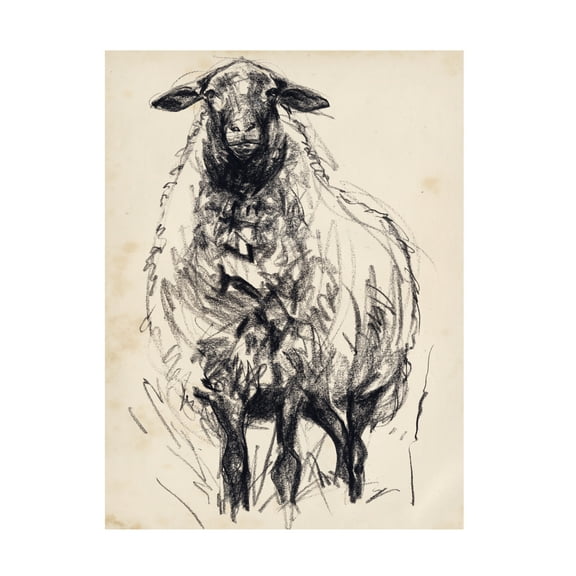 Jennifer Paxton Parker 'Charcoal Sheep I' Canvas Art