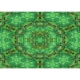 thumbnail image 1 of Ahgly Company Indoor Rectangle Patterned Neon Green Area Rugs, 8' x 10', 1 of 1