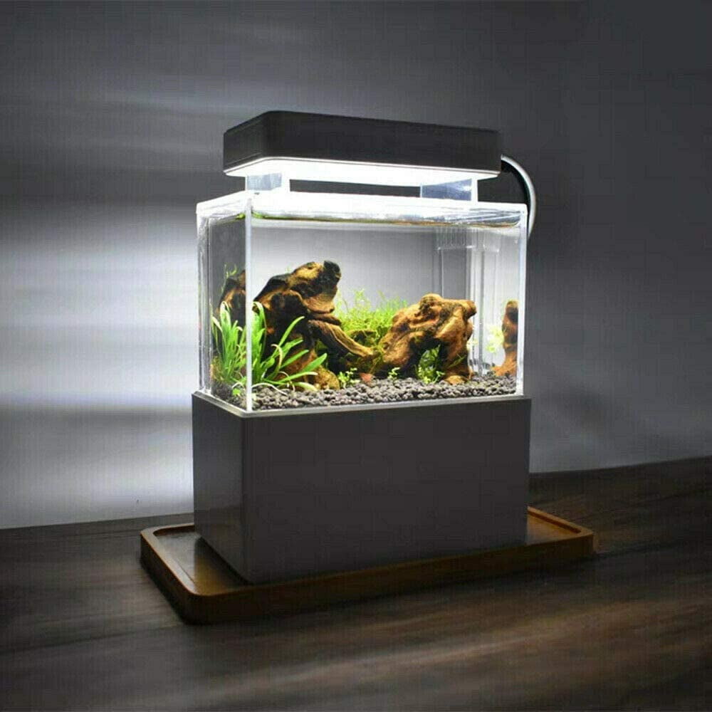 Oukaning Mini Fish Tank Aquarium Free Standing Ecological Grass Tank Water  Filtration 