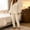 Beige women's 2 piece lounge set a1, variant on sdhkgrrt Women's 2 Piece Pajama Set Square Neck Long Sleeve Top Elastic Waisted Pants Peplum Solid Casual Tracksuit Comfy Matching Fall Winter Lounge Outfit, Pink 2XL
