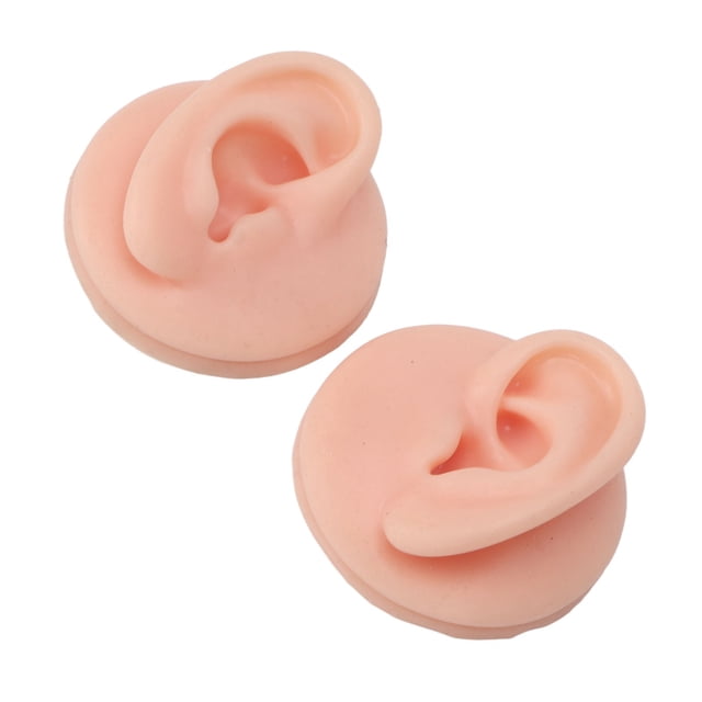Ear Model for Practice, Soft Silicone Ear Picks Practice Body Parts, High Simulation Clear Structure Human Ear Model, Simulated Silicone Ears