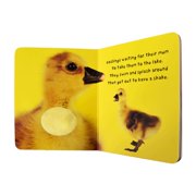 Bright Baby Touch and Feel Boxed Set: On the Farm, Baby Animals, at the Zoo and Perfect Pets (Hardcover)