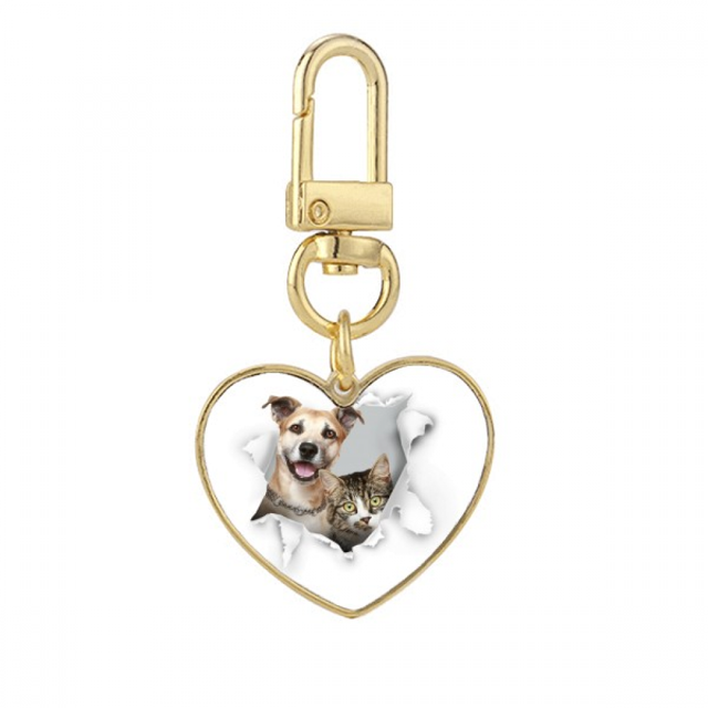 Porte-clés en Métal avec Porte-Clés en Forme de Cœur Doré pour Photos d'Animaux en Papier