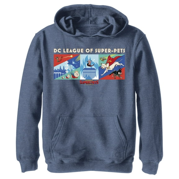 Boy's DC League of Super-Pets Super Pack Panels Pull Over Hoodie Navy Blue Heather Medium