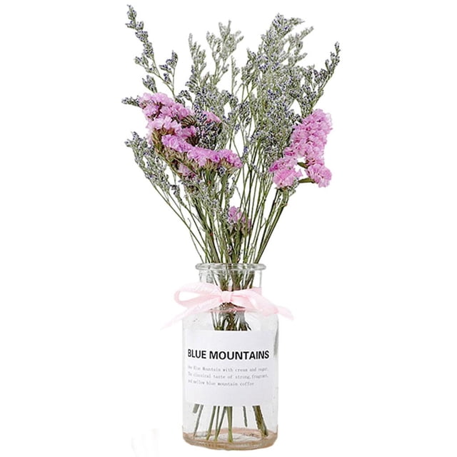 1 Juego de flores secas, jarrón decorativo de cristal transparente para jardín de primavera Planta Rosa Rosa