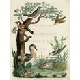 thumbnail image 3 of Nozeman 12x14 Black Modern Framed Museum Art Print Titled - Duck Sanctuary, 3 of 5