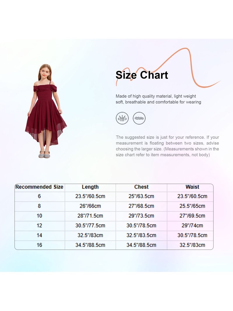 chiffon dresses plus size Evening Dress