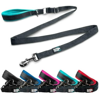 Training leash walmart cheap