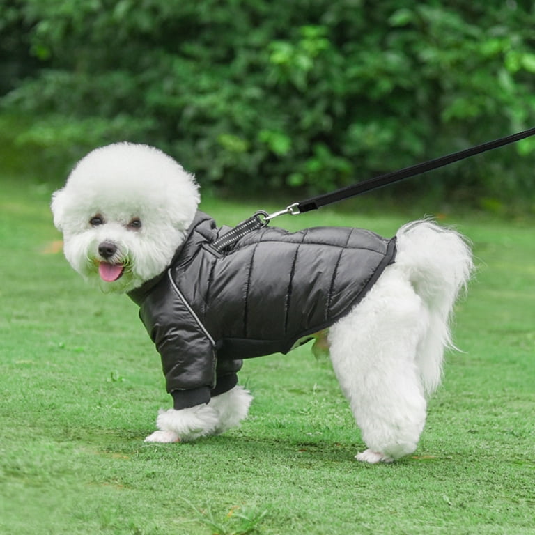 Dog coat hotsell with d ring