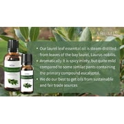 ArOmis Laurel Leaf Essential Oil - USDA Certified Organic - 100% Pure Therapeutic Grade - 30ml (1 Fl Oz), Undiluted, Premium, Oils Perfect for Aromatherapy Diffuser
