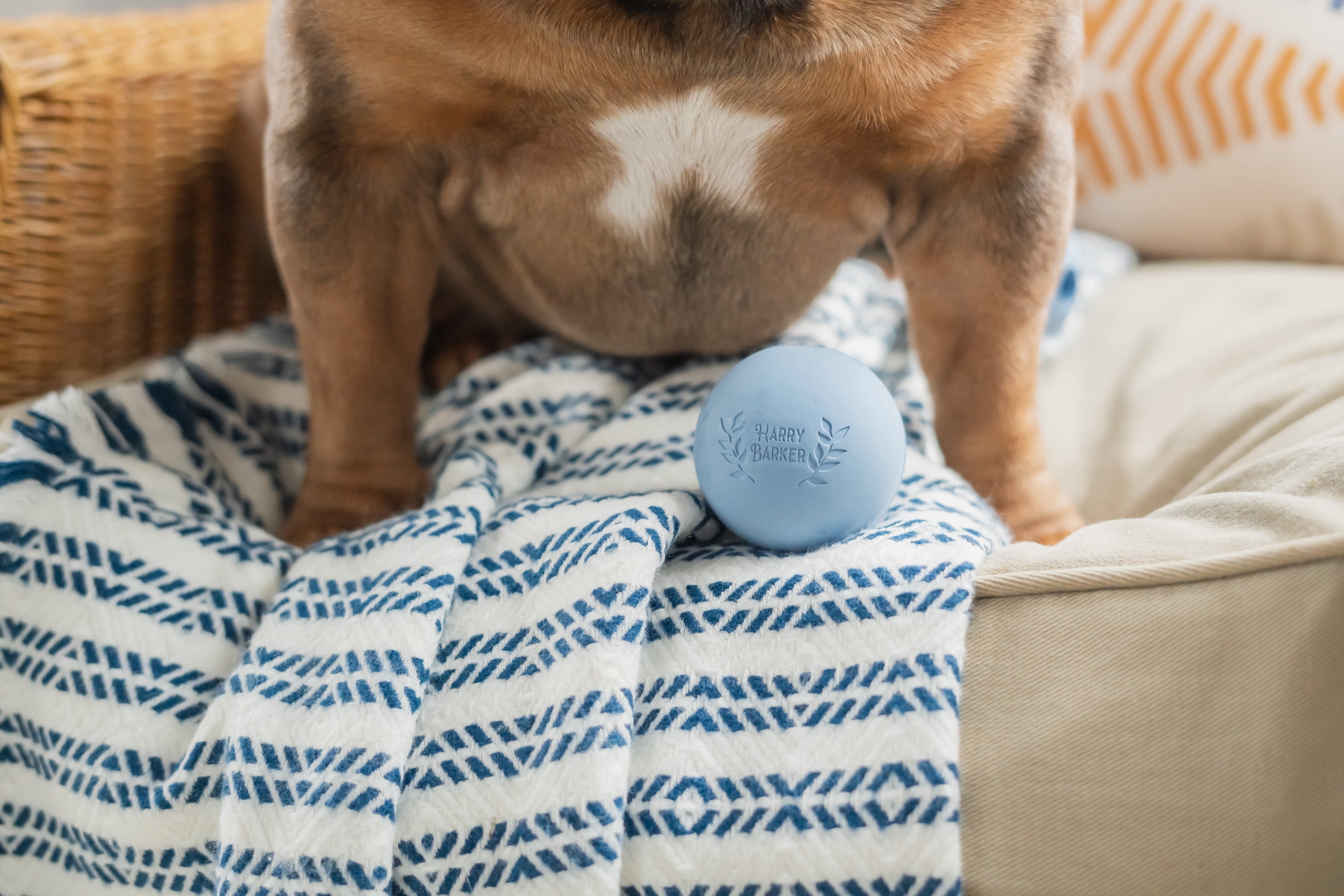 Harry Barker 2.5 Inch Durable All-Natural Rubber Dog Ball 6 Pack Set, Blue, Medium