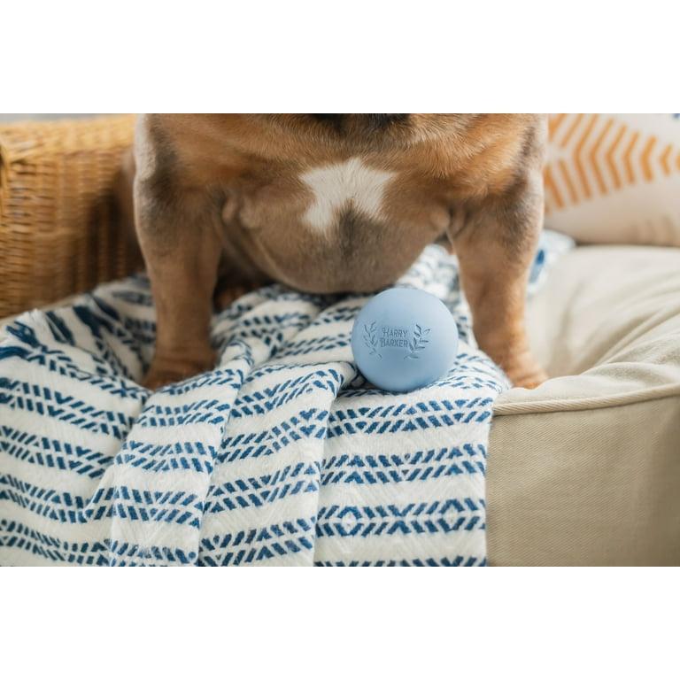 Natural Rubber Dog Ball – 2.5 Inch, Eco-Friendly, Safe For Fetch & Chewing, Promotes Dental Health