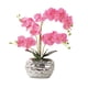 thumbnail image 1 of Planta de orquídea blanca artificial Toystoory 48 cm, 1 of 6