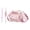 Pink#0701-122, variant on Crossbody Pet Carrier Backpack for Small Dogs & Cats Shoulder Sling Bag with Leash Handle & Breathable Mesh Lightweight Travel Carrier for Outdoor Walks 12.2" x 11" x 5.1"