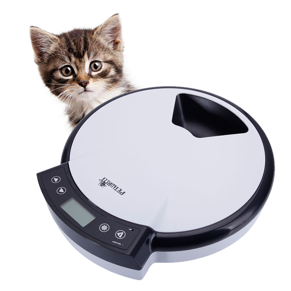 petwant pet feeder