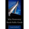 thumbnail image 1 of Why Democracy Needs Public Goods, 1 of 1