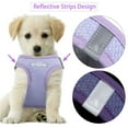 thumbnail image 4 of Gustave No Pull Dog Harness and Leash Set for Small Medium Dogs Reflective Pet Vest Step-in Adjustable Soft Mesh Cat Puppy Walking Harness with Leash "Brown, S", 4 of 10
