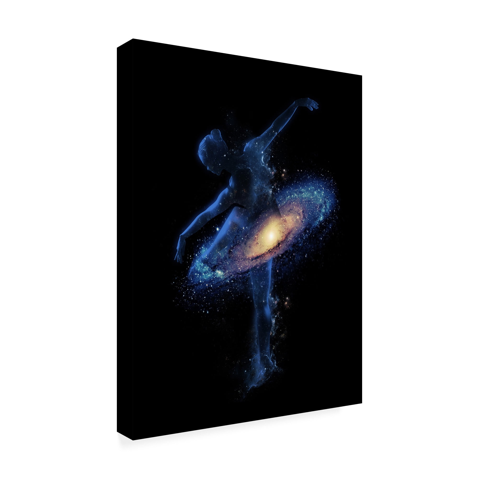 Trademark Fine Art 'Cosmic Dance' Canvas Art by Robert Farka