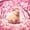 Pink Brown 02, variant on Manfei Kawaii Cherry Blossoms 7-Piece Twin Bedding,Lovely Capybara Bedding Comforter Set,Pink,Colorful Stars Reversible