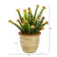 thumbnail image 2 of Nearly Natural Green 10" Flowering Sedum Succulent Artificial Plant in Planter, 2 of 3