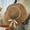 Coffee, variant on Clearance! Fdelink Sun Hat Sun UV Protection Hat Beach Hat WomenSummer Version Versatile Sunshade Hat Great Sailing Along the Sea Grass Hat Sunscreen Sun Hat Coffee