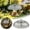 Black, variant on Bird Feeder Rain Guard Squirrel Baffle Dome Cover - Protective Weather Shield for Hanging Feeders - Bird Supplies Garden Accessories for Outdoor Yard Patio 9.8"x4.7" (Clear)