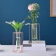 thumbnail image 1 of Glass Vase Sturdy Construction Geometric Hollow Design Iron Modern Hydroponic, 1 of 4