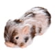 thumbnail image 4 of Cerdo de silicona fácil de limpiar, lindo y suave para un feliz cumpleaños, muñeco de cerdito realista. Rayas marrones, 4 of 8