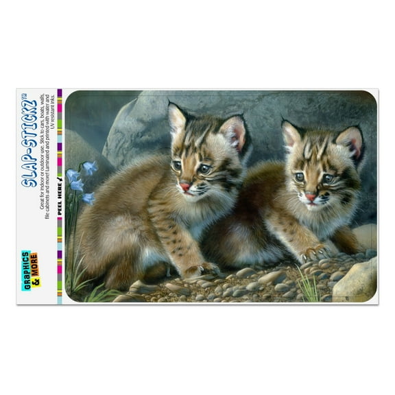 Bobcat Kittens Babies Home Business Office Sign