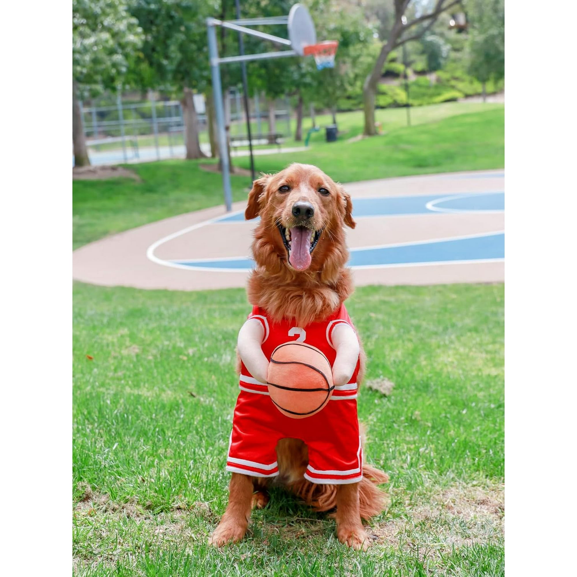 Show and Tail The Ball Hog Dog Costume for Halloween Christmas and party wear Costume Red Small Walmart