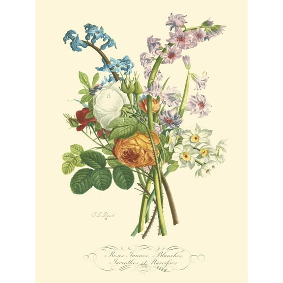 Art.com Plentiful Bouquet IV Art Print by T.L. Prevost, 12" x 16"