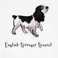 thumbnail image 3 of CafePress - English Springer Spaniel Illustrated Classic Thong - Women's Novelty Thong Panties Underwear, 3 of 4