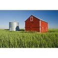 thumbnail image 2 of Metal Grain Bin And Wooden Grain Bin In Wheat Field; Sceptre Saskatchewan Canada Poster Print, 2 of 4