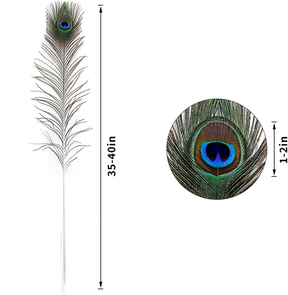 20pcs Natural Long Peacock Feathers 35-40 inch for DIY Craft, Party, Wedding Christmas Decoration and Floral Arrangement