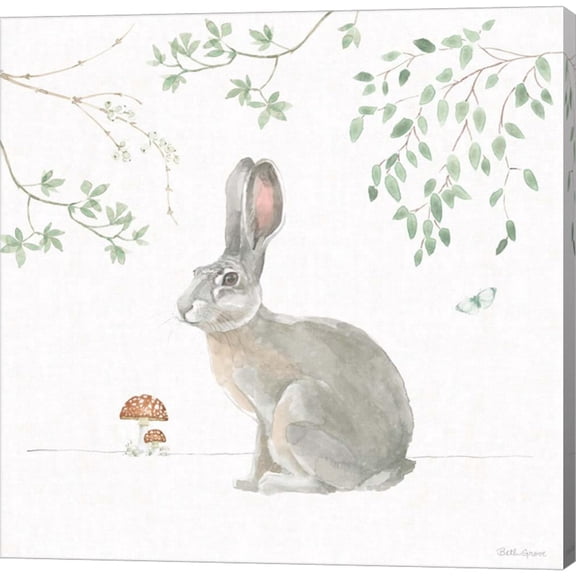 Great Art Now Woodland Love III by Beth Grove, Canvas Wall Art, 12W x 12H