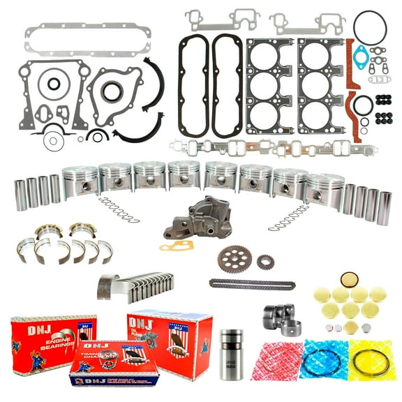 DNJ EK1110M Master Engine Rebuild Kit Fits Cars & Trucks 1987-1989 Dodge D100 D150 D250 Dakota W150 3.9L OHV V6 12V 239cid VIN M VIN X